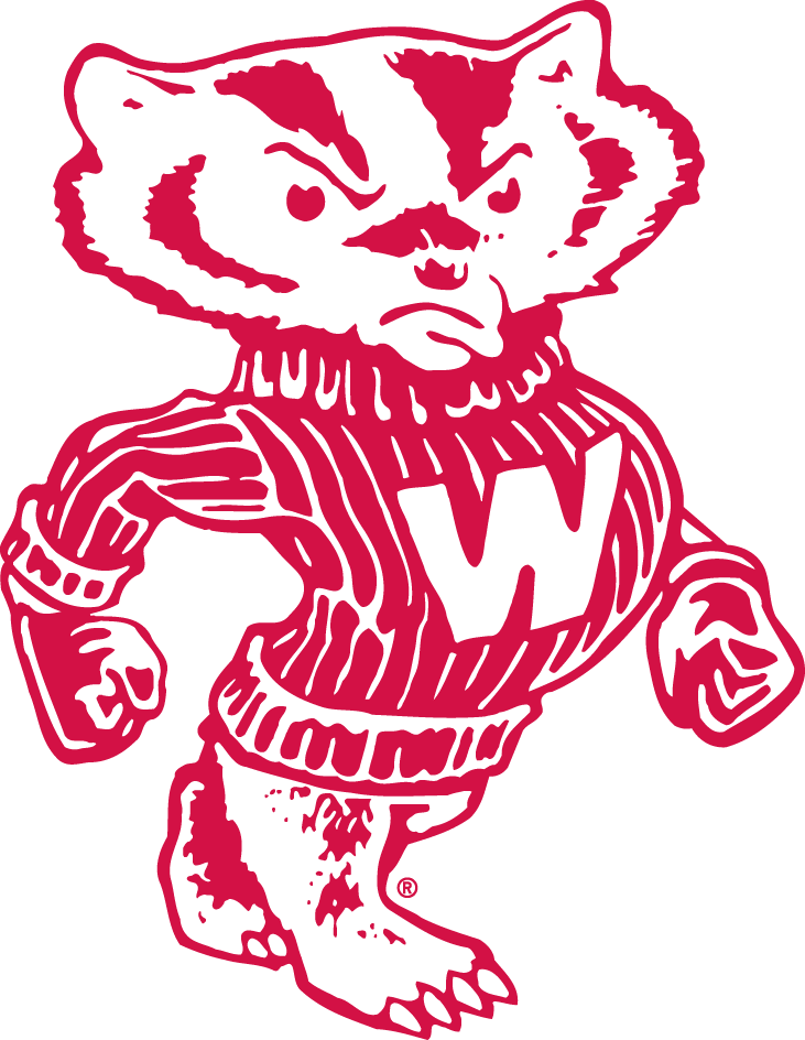 Wisconsin Badgers 1948-1969 Secondary Logo iron on transfers for clothing